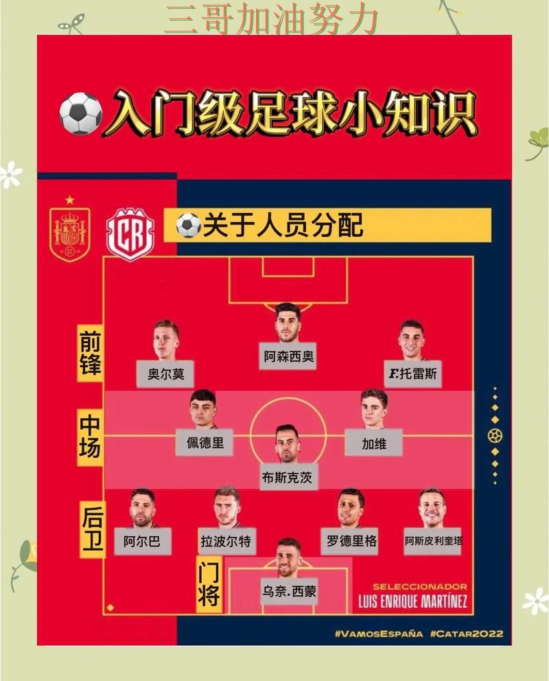 世界杯买球使用指南总结：入口在哪关键点解析（世界杯官方信息）